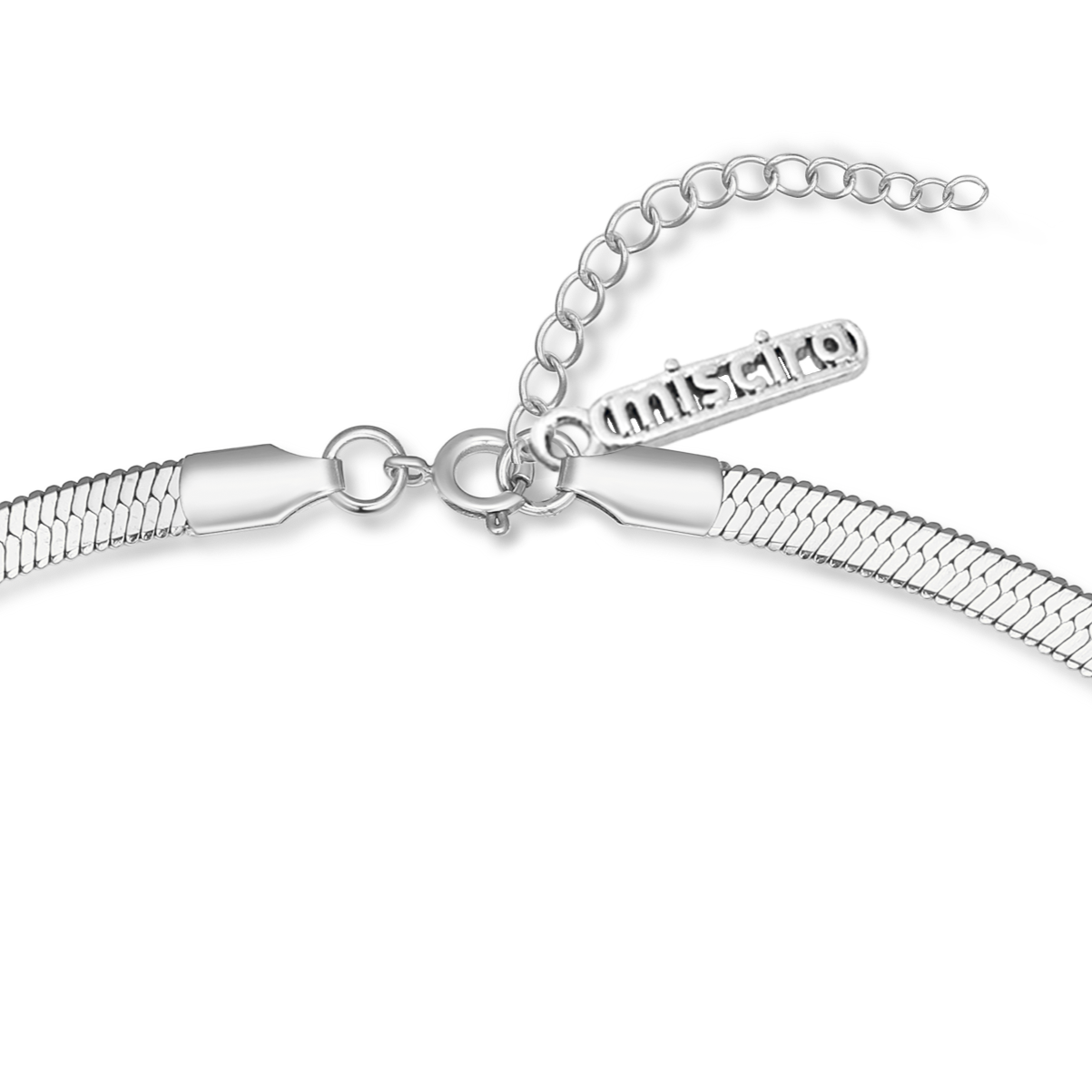 Collar Snake Skin